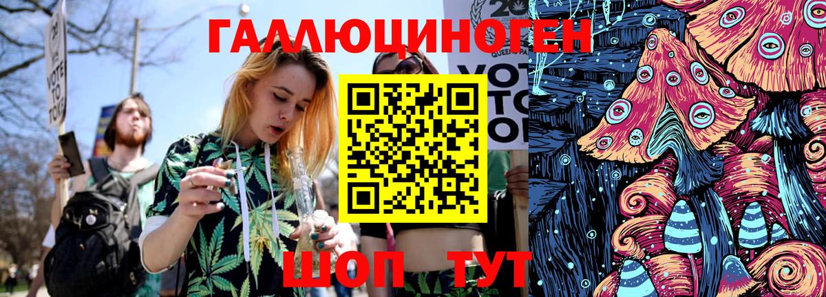 Псилоцибиновые грибы Psilocybine cubensis Ахтубинск