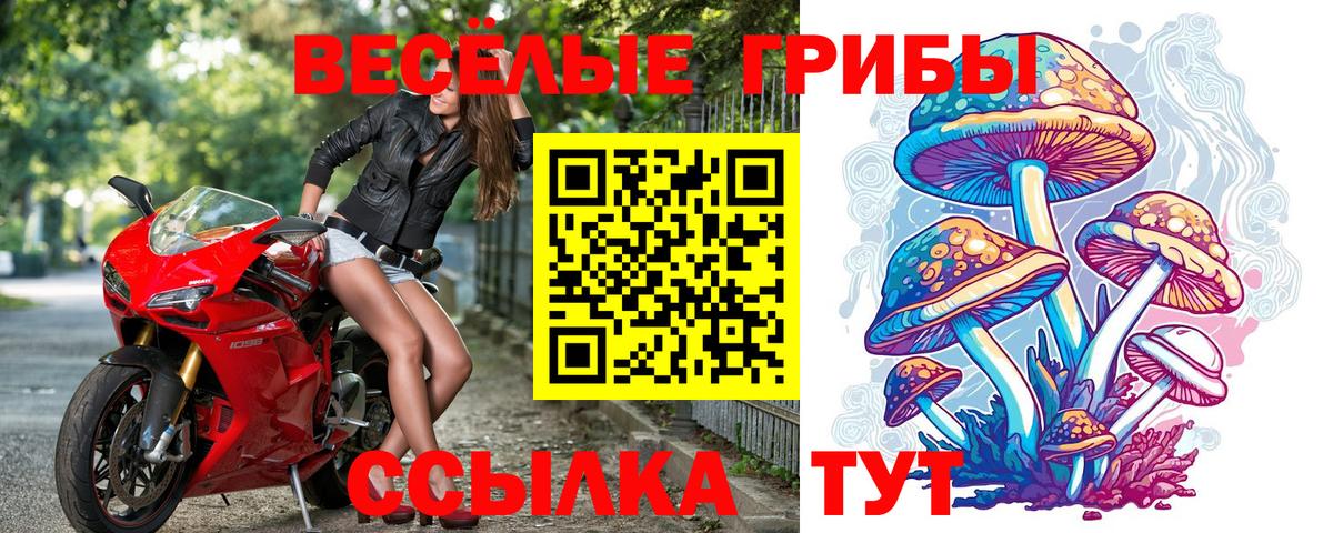 Псилоцибиновые грибы мухоморы  Галлюциногенные грибы ЛСД  Ахтубинск  Вход с VPN 